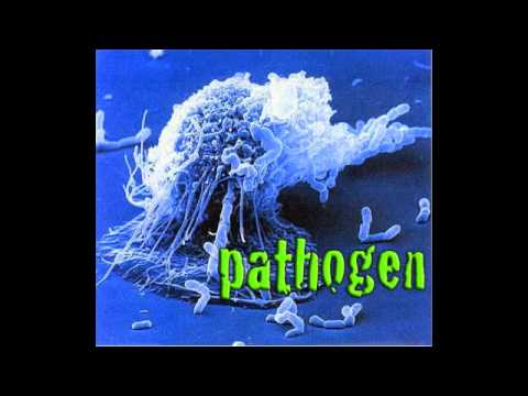 Pathogen - Inverted Conversion