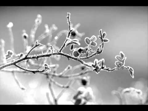 Młody NPS   Nie Poddawaj Się