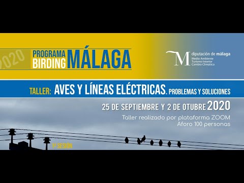 Taller Birding Mlaga: aves y tendidos elctricos. Segunda sesin 2 de octubre 2020