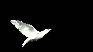 Bag Raiders - Way Back Home (HD)