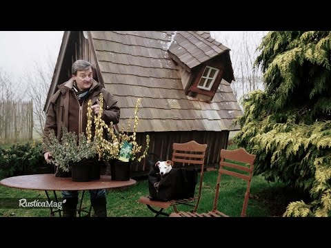 Fleurir le premier printemps