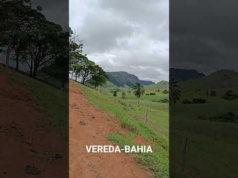 Venha ver essa natureza!!#naturephotography #natureza #horta #viagemdemoto