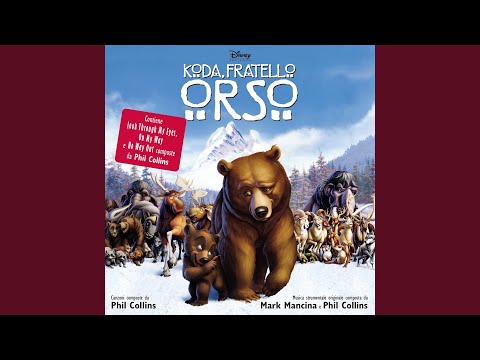 Perdonami se puoi (Tema di Koda, Fratello Orso)