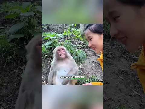 🐒❤️ Une Amitié Inattendue Entre Une Fille Et Un Petit Singe ! #shorts