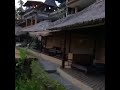 Uji Nyali 2018 Lets Swing Between Coconut Trees Bali 2018