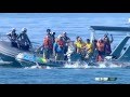 Women S 10km Marathon Swimming Rio 2016 SABC