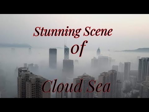 #fog  The city shrouded by fogs | Natural Phenomenon