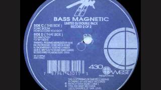 aux 88-bass magnetic-how lo can you go.wmv
