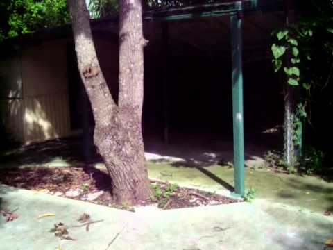 23850 SW 129 ave Homestead 4