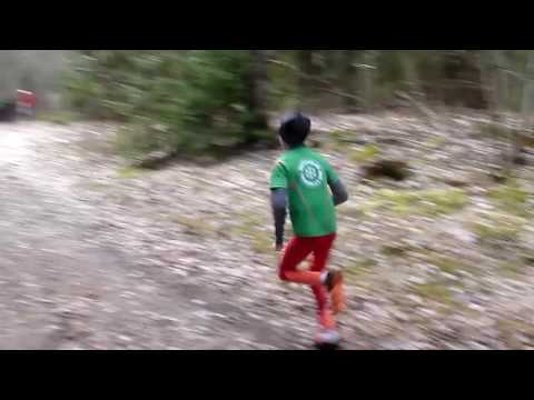 Närkes Terräng-DM (korta) 2017 - Barn/ungdomar 2 km