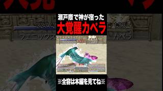 【MF2】瀬戸際で神を宿したカペラ #モンスターファーム2 #mf #mf2 #short
