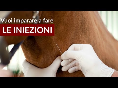 Cosa fare se grave congiunta dolore Quale medico per trattare il dolore al collo