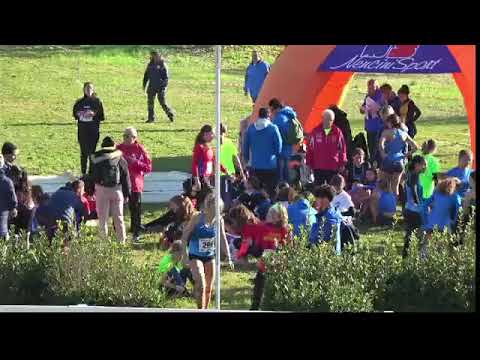 2° cross Città di Fucecchio 2a prova gran prix 18/12/2022