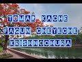 Tomar Kache Fagun Cheyeche Krishnochura। তোমার কাছে ফাগুন চেয়েছে কৃষ
