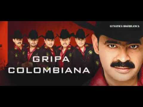 Los tucanes de tijuana.... Traigo gripa colombiana