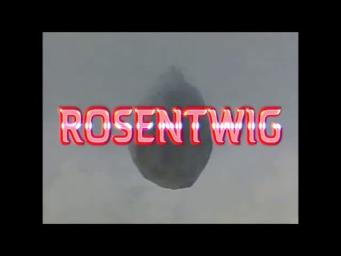 Rosentwig - Wildest Dreams