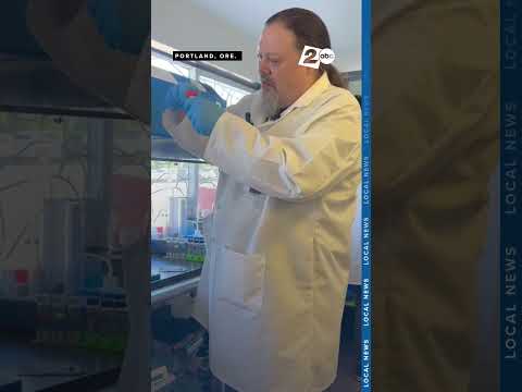 Magic mushroom edibles found lacking psilocybin, contain undisclosed ingredients