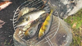 Surviving off Fish - Catching, Cleaning and Cooking!