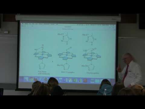 7. Ahern's BB 350 at Oregon State University - Hemoglobin