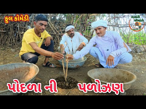 પોદળાની પળોઝણ | Podala ni palojan | Gamno shimado | Gujarati comedy video | Village comedy | Funny