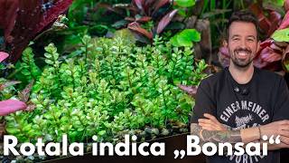 Miniatura filmu z YouTube