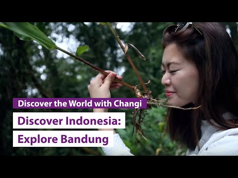 Discover Indonesia: Bandung