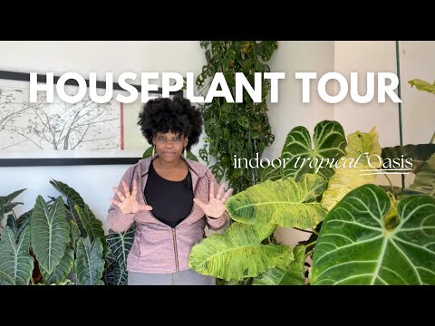 Houseplant Tour | Checkout My Urban Jungle!