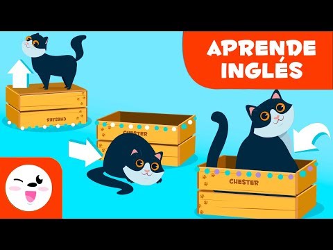 Las preposiciones en inglés para niños  - ¿Dónde está el gato? - On, in, under, next to ...