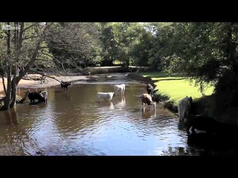 RennRad goes TrialBike