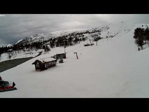 Kvamskogen - Furedalen Alpin Bunn 1