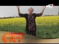 Telewizja Kino Polska Kino Polska