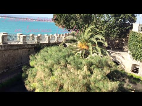 3 minutes travel in Syracuse (Sicily) #1 Fonte Aretusa