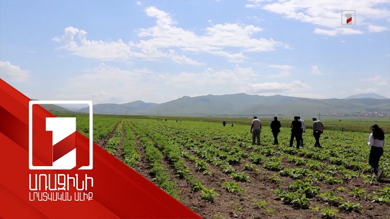 Էկոնոմիկայի նախարարությունը 2025-ին ծրագրում է առնվազն 1 մլրդ դրամի գյուղապահովագրության պոլիս