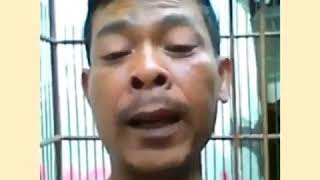 Download lagu Status WA lucu - burung mahal alias manok larang 🤣 mp3