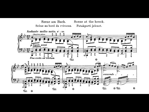 Beethoven-Liszt - Symphony 6 (II. Andante molto mosso) - Cyprien Katsaris Piano