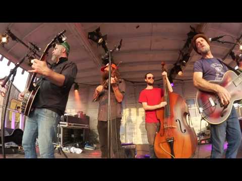 2016 Hackensaw Boys - The Bayou @ Zwarte Cross