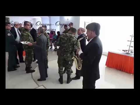 SAXOFONISTA SAXOFONISTAS BOGOTA GRUPO MUSICAL PIANISTA ORGANISTA