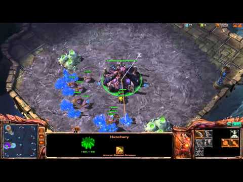 Chad 'Monlyth Ridge' Jones - Starcraft 2