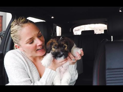 The Discovery Sport and Archie