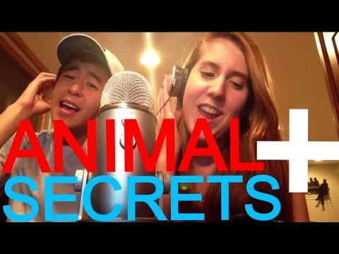 Animal/Secrets (Ke$ha/OneRepublic) mashup COVER
