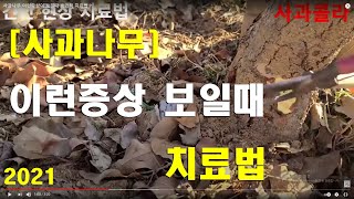 사과나무 이런증상이 보일때 효과적 치료법 ?