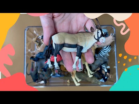 30 African Animals | Animal toys | Animal videos | Learn animal names | Animal Sounds | pangolin |