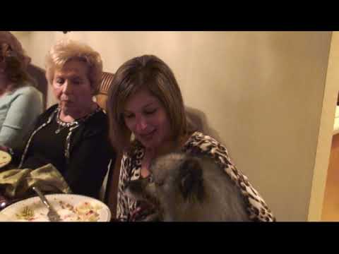 Chetcuti Family Movies - Thanksgiving 2008