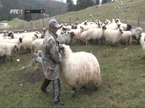 Sasvim prirodno: Još to malo duše