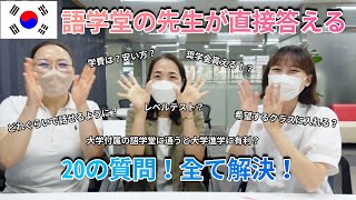 【韓国留学】語学留学考えてる人必見🔥!慶北大学語学堂の先生に答えてもらいました🇰🇷