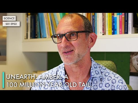 Unearth: Amber: a 100 million year old tail.