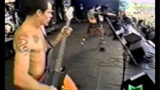 Red Hot Chili Peppers - Stone Cold Bush (Pinkpop 1990)