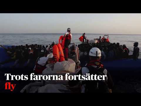 Explainer: flyktingar över Medelhavet 2017