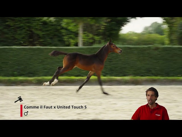 Cifer Touch Z