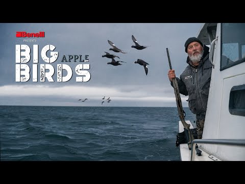 Benelli Presents: Big Apple Birds